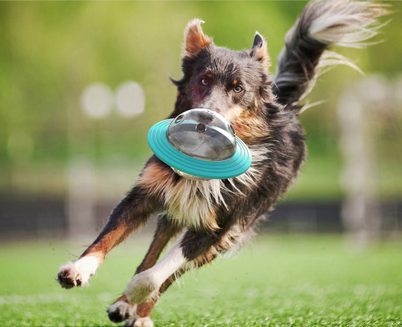 Dog Food Dispensing Frisbee