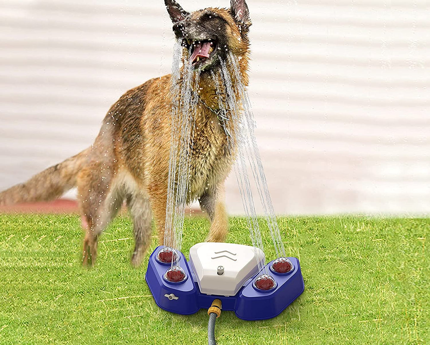 Dog Fountains Outdoor Dog Drinking Water