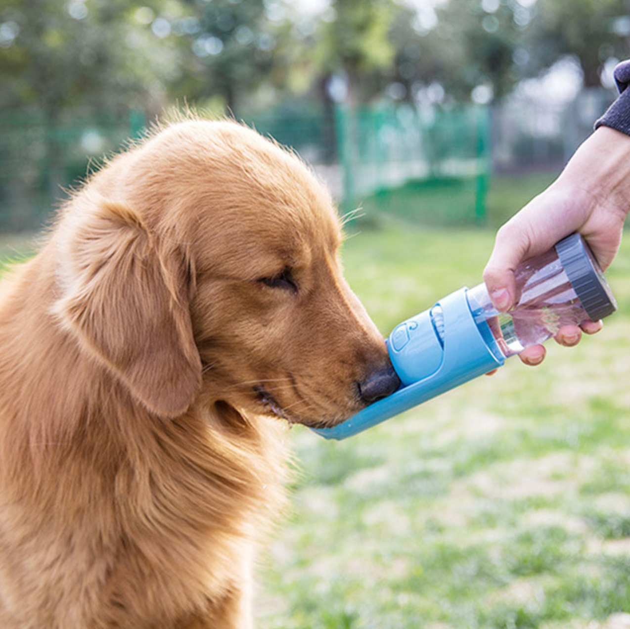 Filtered Water Bottle